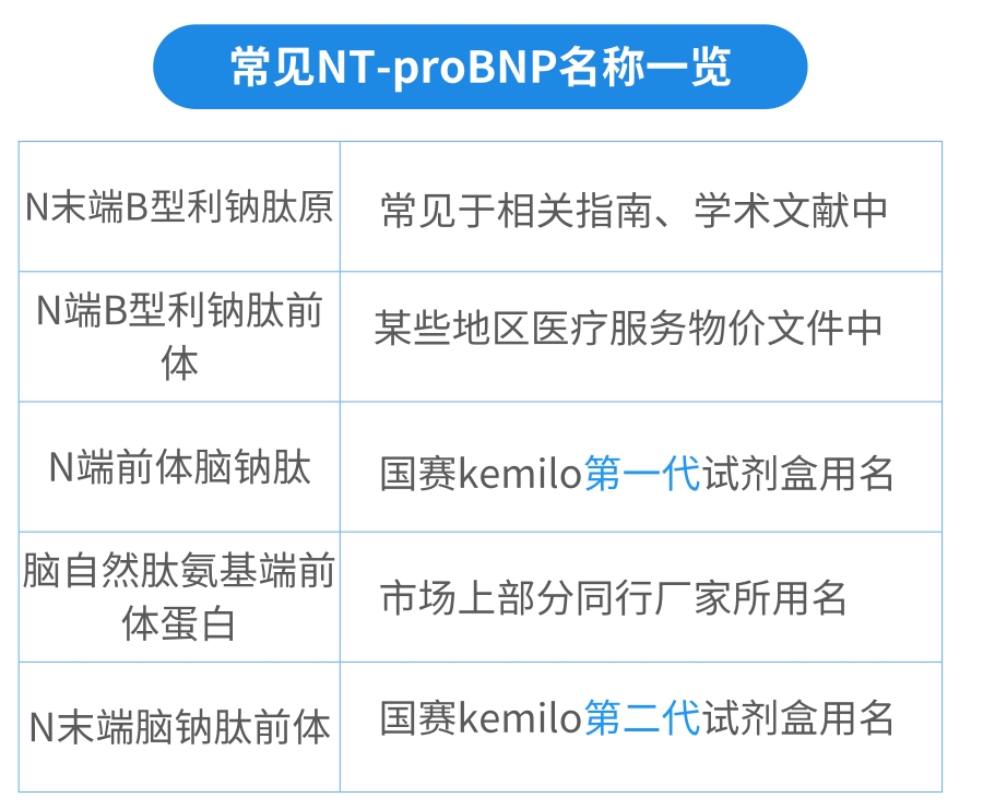 NT-proBNP有几个中文译名？——BetWay必威生物第二代NT-proBNP、CK-MB试剂获证上市