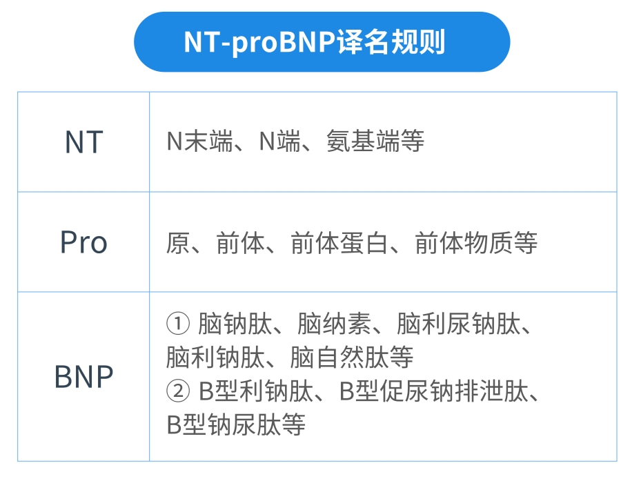 NT-proBNP有几个中文译名？——BetWay必威生物第二代NT-proBNP、CK-MB试剂获证上市